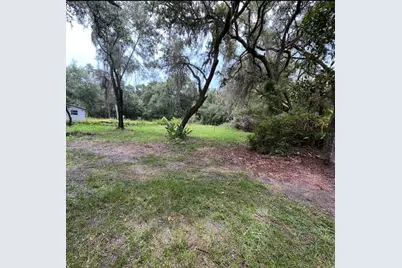 18625 NE 238th Terrace, Fort Mc Coy, FL 32134 - Photo 2