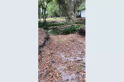 18625 NE 238th Terrace, Fort Mc Coy, FL 32134 - Photo 8