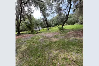 18625 NE 238th Terrace, Fort Mc Coy, FL 32134 - Photo 10