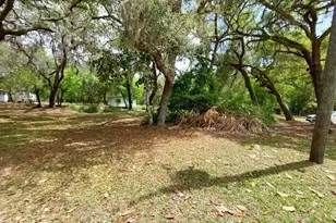 18625 NE 238th Ter, Fort Mc Coy, FL 32134 - Photo 1