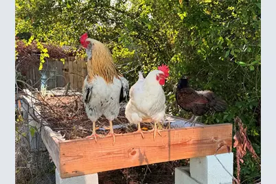 7700 Eden Park Road, Orlando, FL 32810 - Photo 22