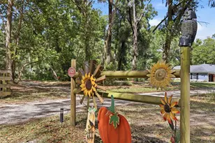 1925 Pine Ct, Deland, FL 32720 - Photo 66