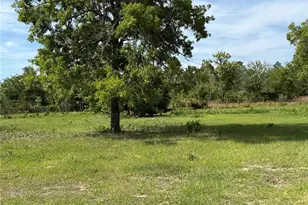 11090 SE 165th Terrace Rd, Ocklawaha, FL 32179 - Photo 32