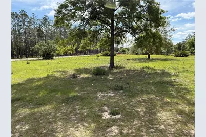 11090 SE 165th Terrace Road, Ocklawaha, FL 32179 - Photo 34