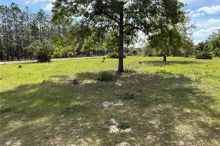 11090 SE 165th Terrace Rd, Ocklawaha, FL 32179 - Photo 34