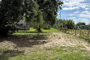 11090 SE 165th Terrace Rd, Ocklawaha, FL 32179 - Photo 36
