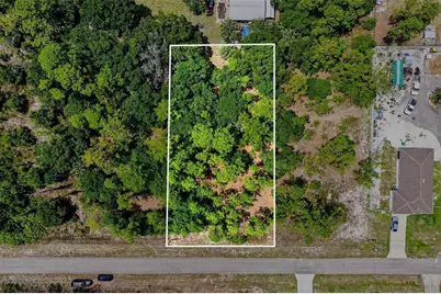 711 Wellington Avenue, Lehigh Acres, FL 33972 - Photo 2