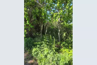 226 Walnut Avenue, Orange City, FL 32763 - Photo 1