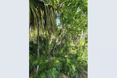 226 Walnut Avenue, Orange City, FL 32763 - Photo 4