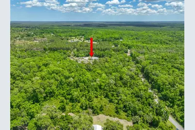 1370 Buckles Road, Pierson, FL 32180 - Photo 56