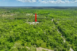 1370 Buckles Rd, Pierson, FL 32180 - Photo 56
