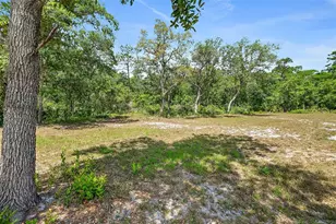 1370 Buckles Rd, Pierson, FL 32180 - Photo 46