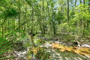 1370 Buckles Rd, Pierson, FL 32180 - Photo 50