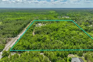 1370 Buckles Rd, Pierson, FL 32180 - Photo 54