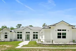 1370 Buckles Rd, Pierson, FL 32180 - Photo 1
