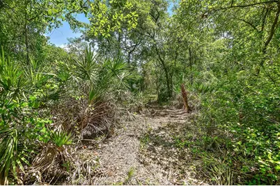 1370 Buckles Road, Pierson, FL 32180 - Photo 48