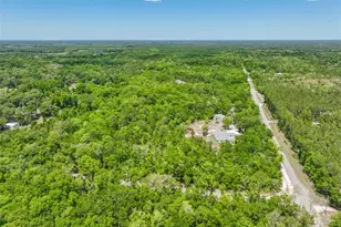 1370 Buckles Rd, Pierson, FL 32180 - Photo 58