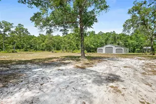 1370 Buckles Rd, Pierson, FL 32180 - Photo 40