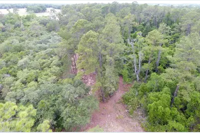 161 Snake Hill Road, Crescent City, FL 32112 - Photo 1