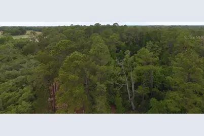 161 Snake Hill Road, Crescent City, FL 32112 - Photo 6