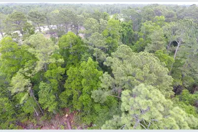 161 Snake Hill Road, Crescent City, FL 32112 - Photo 4