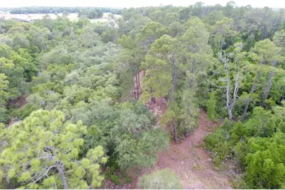 161 Snake Hill Road, Crescent City, FL 32112 - Photo 8