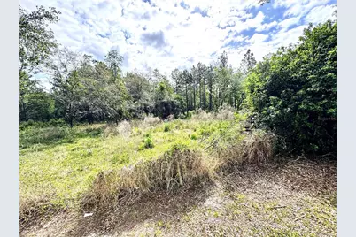 4339 Northern Dancer Way, Orlando, FL 32826 - Photo 54