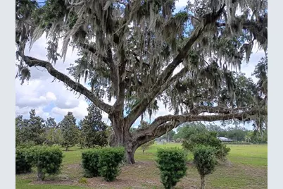 1403 Blackwelder Road, De Leon Springs, FL 32130 - Photo 22