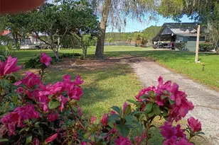 1403 Blackwelder Rd, De Leon Springs, FL 32130 - Photo 90