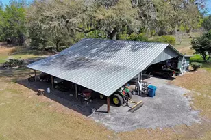 1403 Blackwelder Rd, De Leon Springs, FL 32130 - Photo 52
