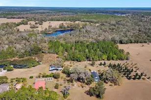 1403 Blackwelder Rd, De Leon Springs, FL 32130 - Photo 66