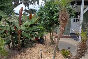 1403 Blackwelder Rd, De Leon Springs, FL 32130 - Photo 6