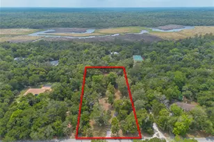 5768 John Anderson Hwy, Flagler Beach, FL 32136 - Photo 44