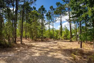 3770 Balsam Ct, Ormond Beach, FL 32174 - Photo 1