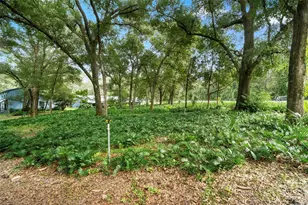 1268 McGregor Rd, Deland, FL 32720 - Photo 38