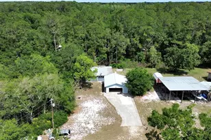 25801 Blue Lakes Dr, Paisley, FL 32767 - Photo 34