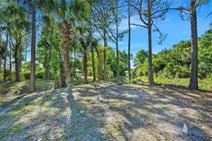 6 Big Horn Pl, Palm Coast, FL 32137 - Photo 38
