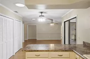 544 Black Ironwood Dr, Deland, FL 32724 - Photo 18