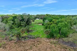 141 N Pine St, Pierson, FL 32180 - Photo 8