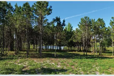 9717 Morton Jones Road, Gotha, FL 34734 - Photo 4
