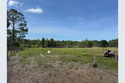 807 Campbell Lane, De Leon Springs, FL 32130 - Photo 8