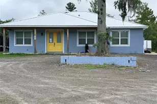 290 Redwood Ave, Orange City, FL 32763 - Photo 1
