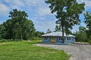 290 Redwood Ave, Orange City, FL 32763 - Photo 2