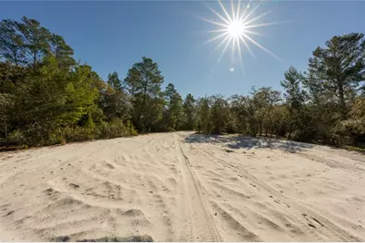North Road, Pierson, FL 32180 - Photo 10