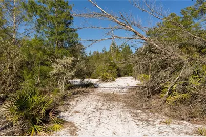 North Road, Pierson, FL 32180 - Photo 12
