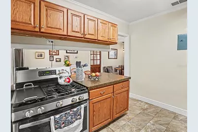 315 W 11th Avenue, Mount Dora, FL 32757 - Photo 10