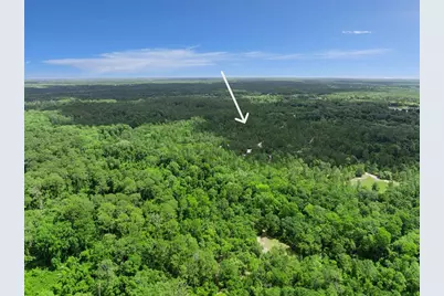 1140 Buckles Road, Pierson, FL 32180 - Photo 38