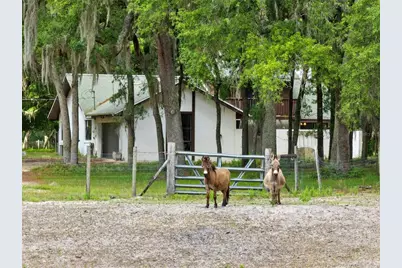 1142 Buckles Road, Pierson, FL 32180 - Photo 28