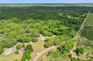 1142 Buckles Rd, Pierson, FL 32180 - Photo 32