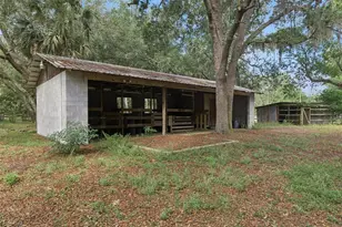 1142 Buckles Rd, Pierson, FL 32180 - Photo 26